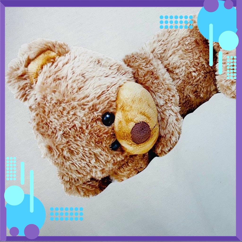 Áo thun nam nữ in Gấu 3D ngắn tay, chất cotton kiểu dáng năng động - AP40 MSP12808 | BigBuy360 - bigbuy360.vn