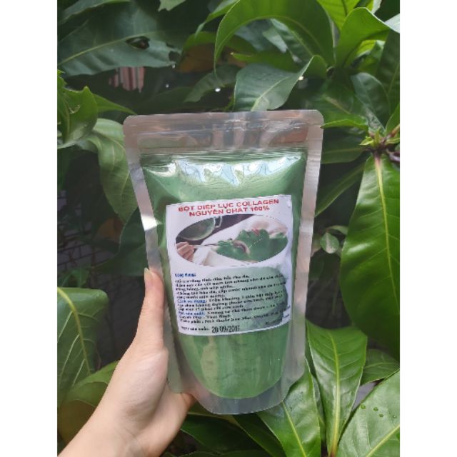 500gr bột diệp lục lá nguyên chất