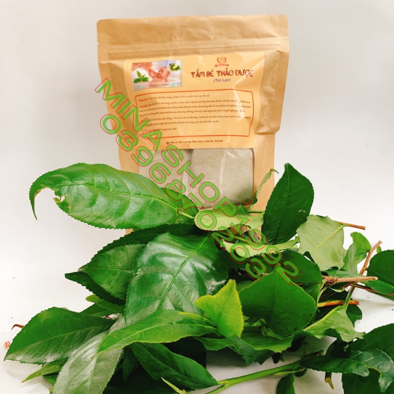 TẮM BÉ THẢO DƯỢC (dạng túi lọc 6 gói)