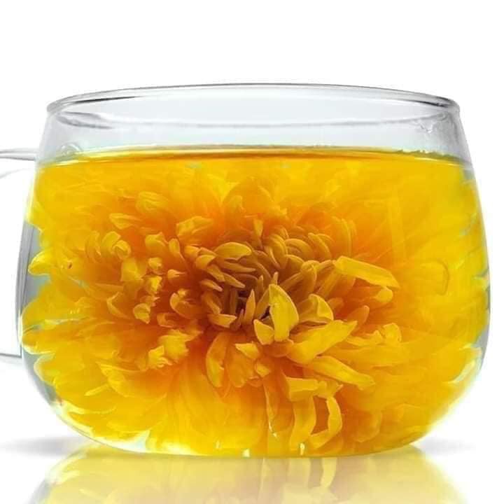 Trà Hoa Cúc Hoàng Kim mini