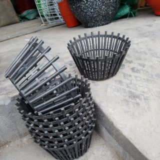 Chậu treo lan phi 20