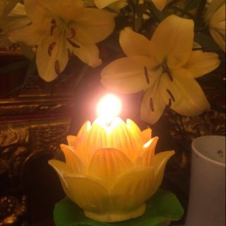 SỈ LẺ Nến hoa sen ( đủ kích cỡ)
