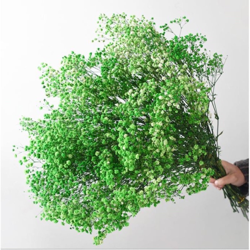 Hoa baby khô, hoa trang trí, decor trang trí nhà văn phòng đẹp