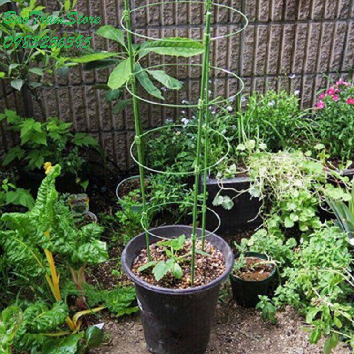 Giá đỡ hoa hồng, hoa leo đa năng kích thước cao 90cm, đường kính 3 vòng tròn 25cm