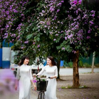 Áo dài học sinh