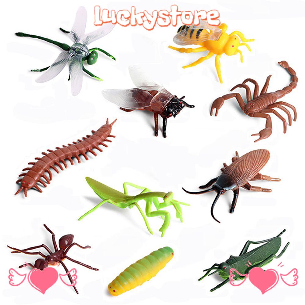 Set 10 Mô Hình Côn Trùng Giả Dùng Làm Đồ Chơi Giáo Dục Cho Bé