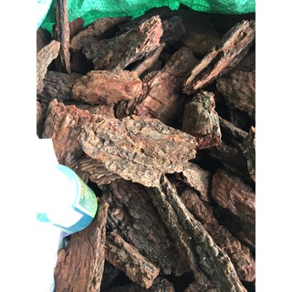 COMBO 10KG VỎ THÔNG 0.25KG VÔI