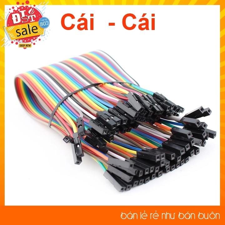 ✅ [RẺ NHẤT VIỆT NAM] ⚡ Dây cắm board test đực/cái 20cm (40 sợi)