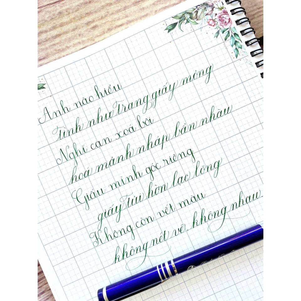Bút máy luyện chữ đẹp nét thanh đậm ngòi Thép Bình Nguyên 6100