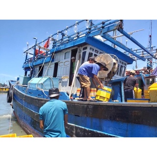 MỰC CƠM MUỐI ĐẶC SẢN BIỂN QUY NHƠN