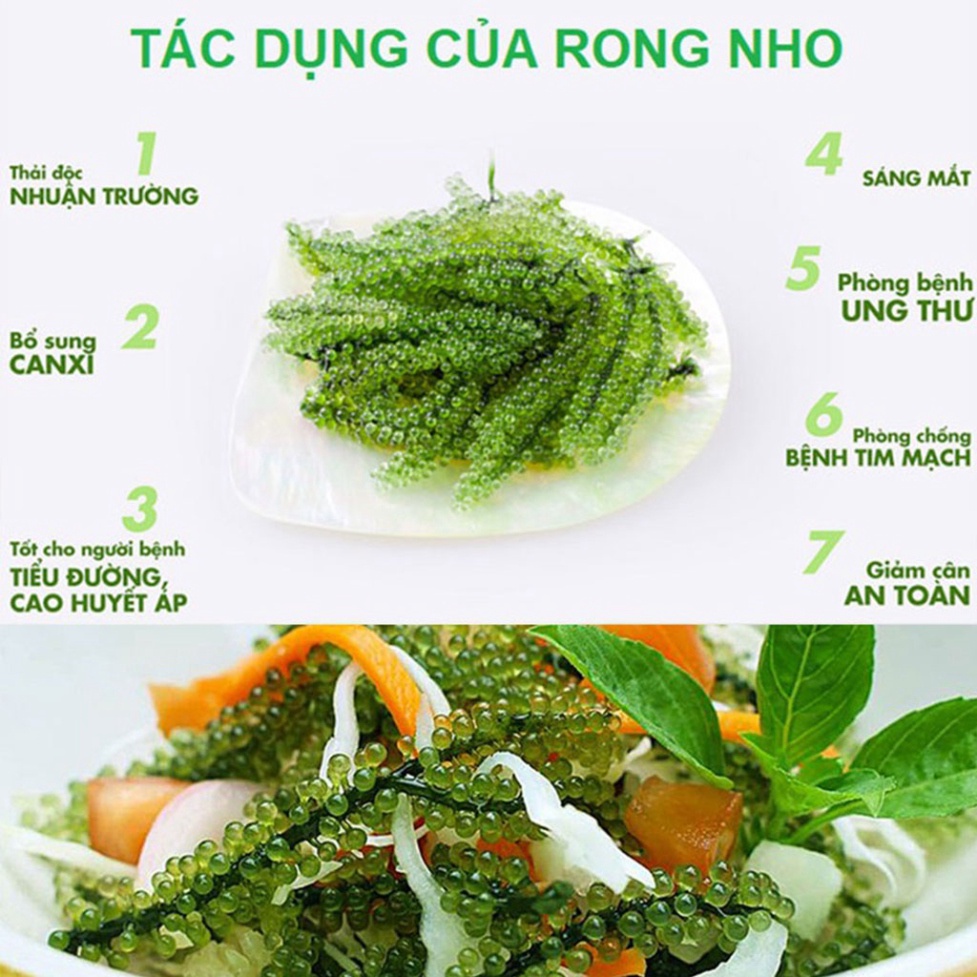 Rong nho tách nước Gren Food túi 100gr Cao cấp Xuất nhật - rong nho ăn với nước sốt mè rang