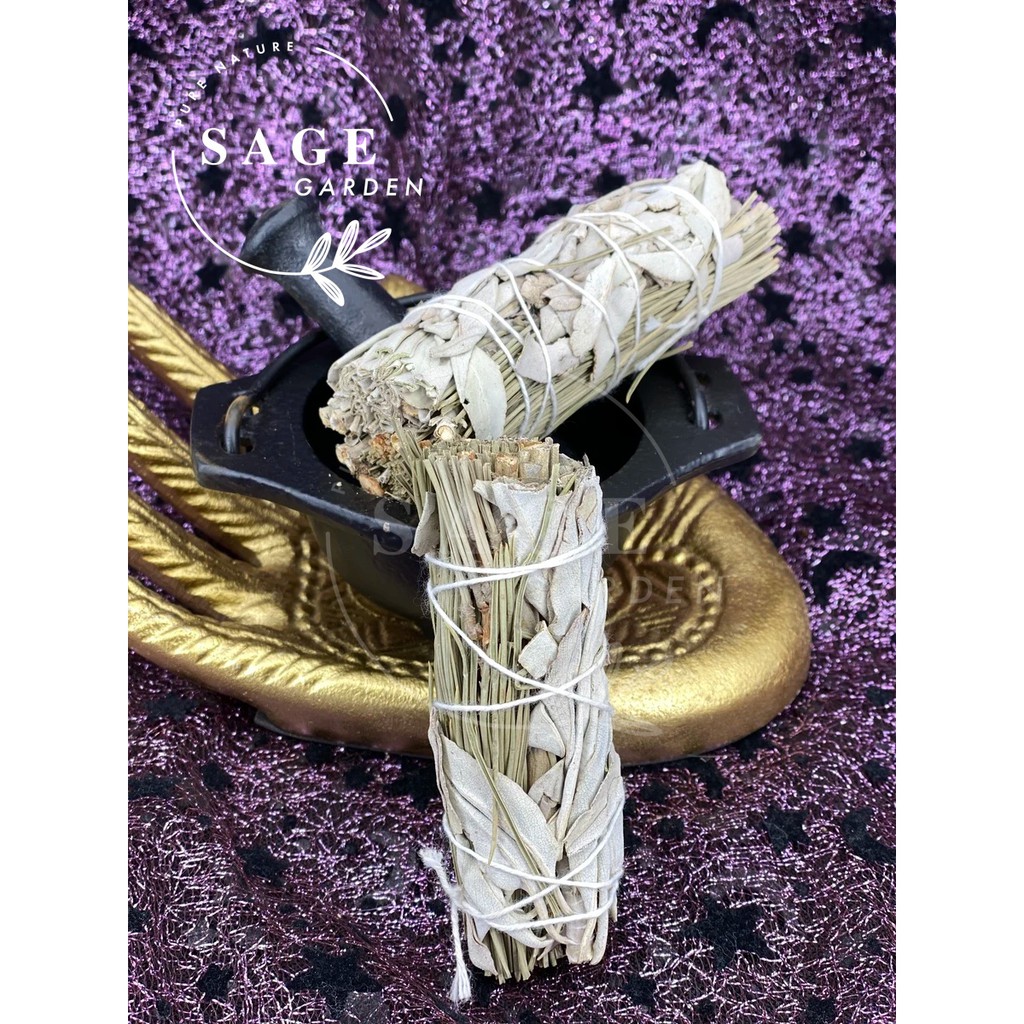 BẢO VỆ NĂNG LƯỢNG BẢN THÂN - Xô thơm trắng &amp; Thông (White sage &amp; Pine)_SAGE GARDEN