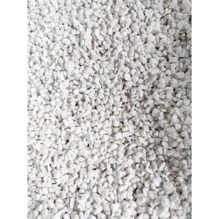 Đá perlite trồng sen đá & xương rồng