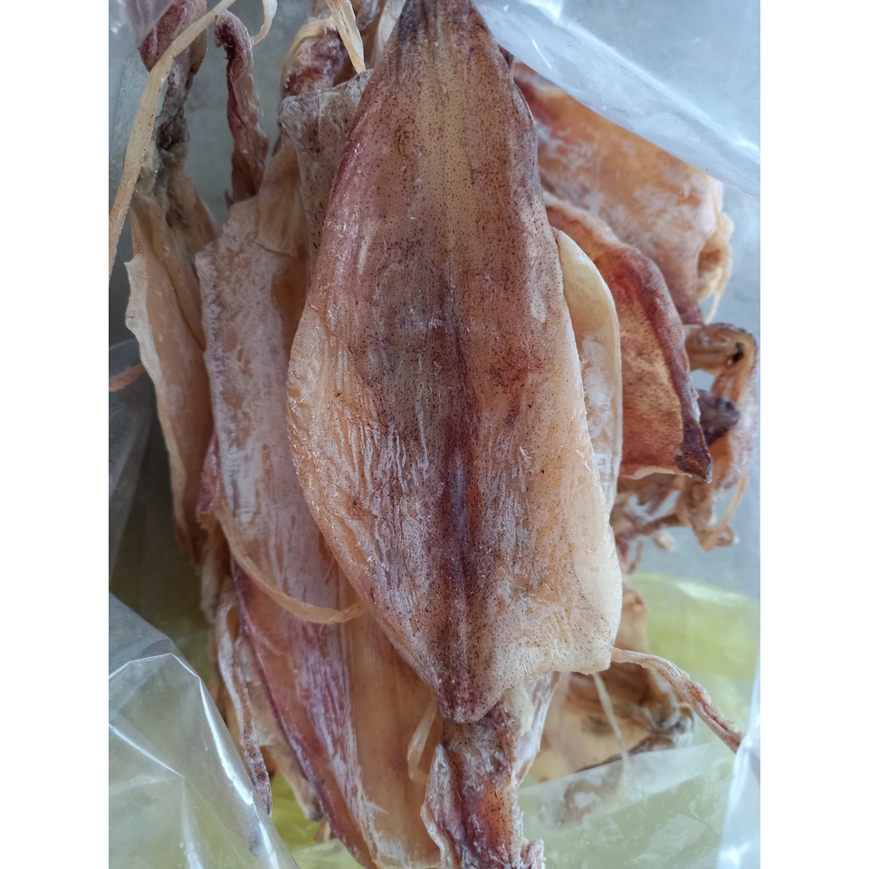 1 Con Mực khô câu tay chuẩn thơm ngon ngọt từ biển Quỳnh Lưu _khô mực