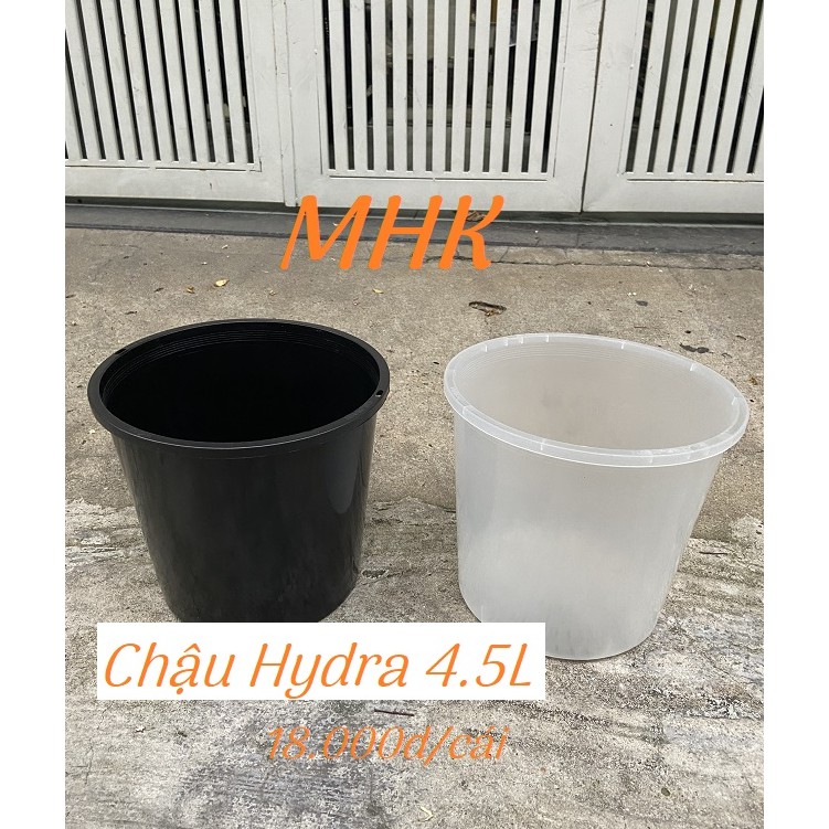 Chậu nhựa cứng 4.5L (20.5x18,5cm) dòng Hydra !