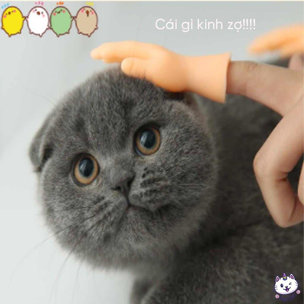 Đồ chơi bàn tay mini thử giãn, chơi đùa cùng BOSS an toàn - diniopet