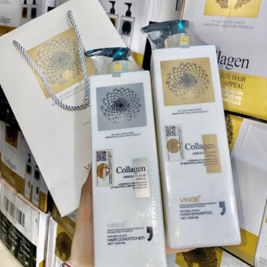 [HÀNG CHÍNH HÃNG] Cặp Dầu Gội Xả Collagen Vinge 1000ML | Giảm Rụng Tóc, Kích Mọc Tóc, Phục Hồi Tóc Hư Tổn | BigBuy360 - bigbuy360.vn