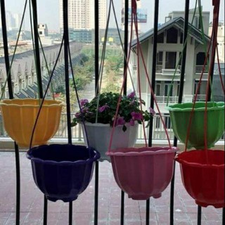 - 10 chậu treo bí trồng cây rộng 22cm hàng cty, loại 1.
