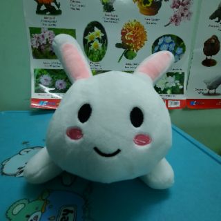 Thỏ bông trắng, thỏ bông cony