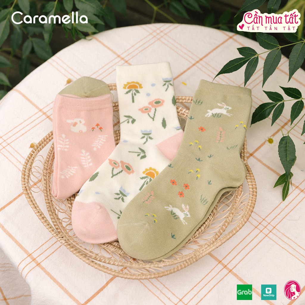 Tất nữ cổ cao CARAMELLA, set vớ nữ cao cổ 3 đôi chủ đề Thỏ Xanh Hồng kèm túi zip xinh xắn, mẫu tất đẹp 2021