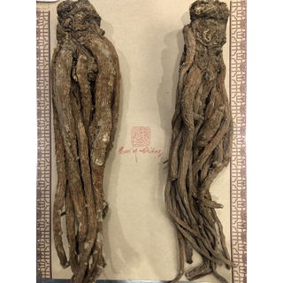  Đương Quy Cam Túc 200gr