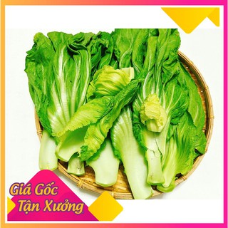 Hạt Giống Cải Bẹ Dưa Cao Sản, Giòn Ngọt Gói 10gr
