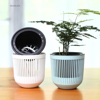 Chậu Cây Cảnh Tự Tưới Nước Tiện Lợi