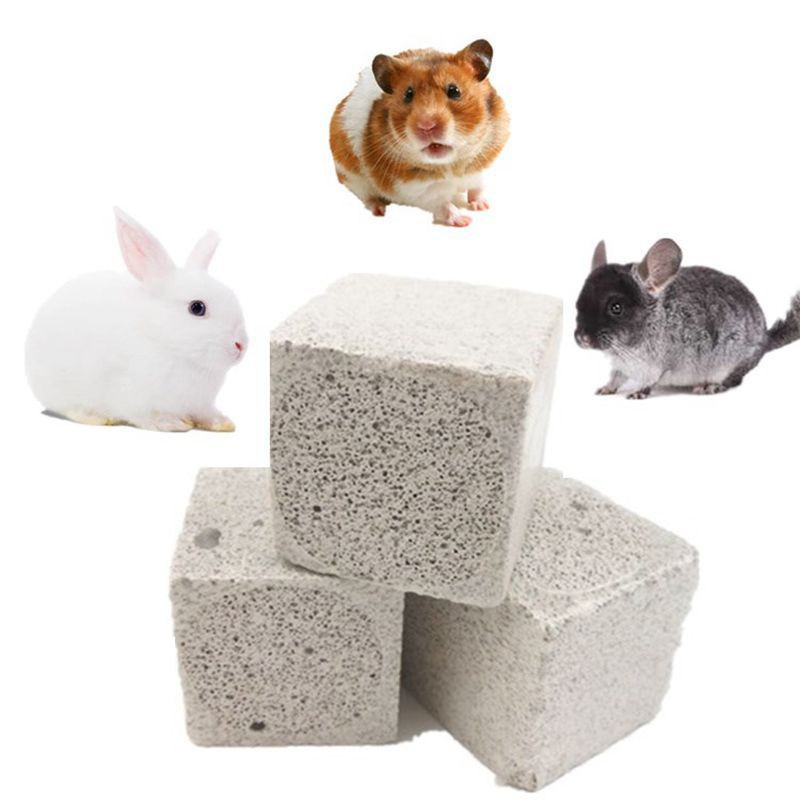 Đá Bọt Mài Răng Cho Hamster, Thỏ, Bọ
