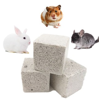 Đá Bọt Mài Răng Cho Hamster, Thỏ, Bọ