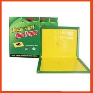 [siêu sale] Keo dán chuột - Miếng dán bẫy chuột thông minh