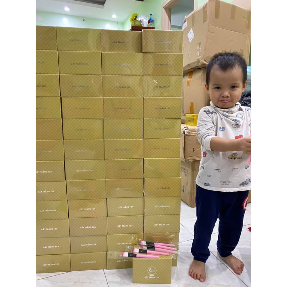 cấy trắng lụa | BigBuy360 - bigbuy360.vn