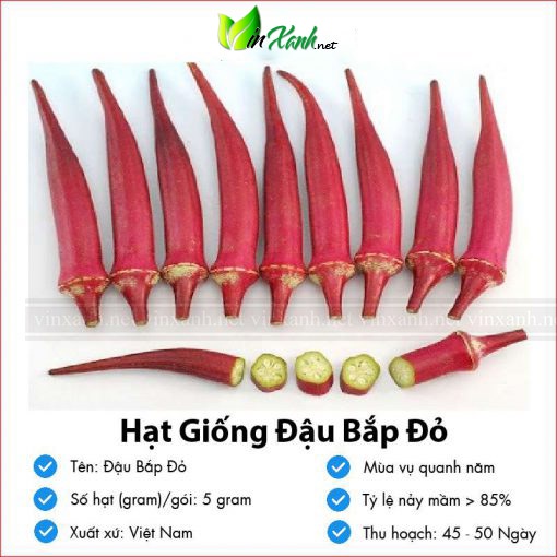 Hạt giống đậu bắp đỏ- NGUYÊN GÓI hàng công ty tuyển chọn kháng bệnh sống khỏe