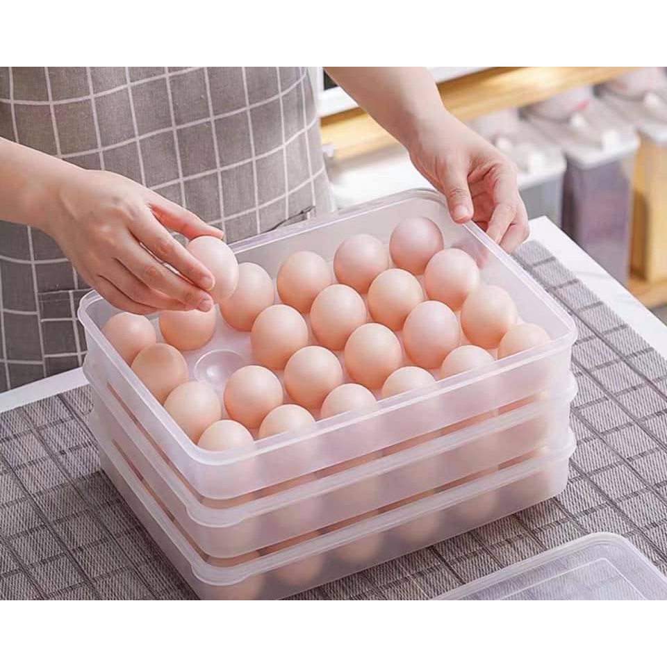 Hộp trứng - Khay Đựng trứng gà vịt 24 quả có nắp đậy VIỆT NHẬT 101220