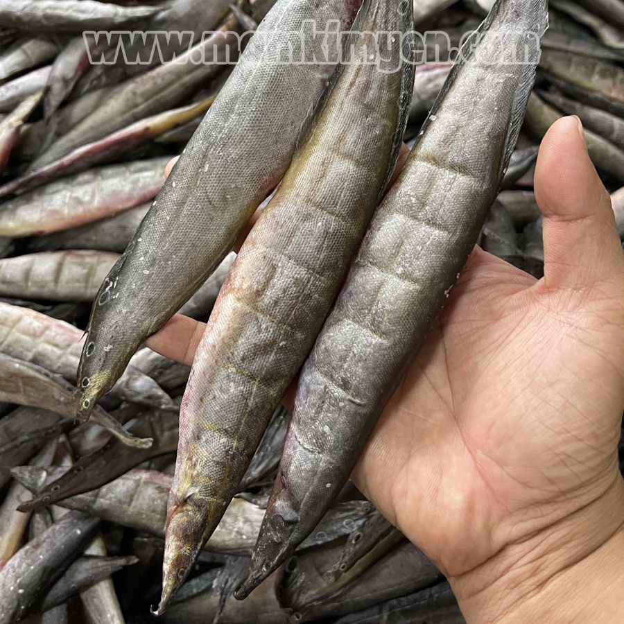 500gr Khô Cá Trạch Đồng Châu Đốc Loại Con To Ướp Gia Vị Vừa Ăn Hàng 2 Nắng Không có đánh giá