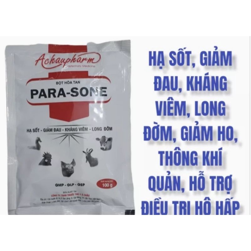 Para sone 100 gram long đờm hsd 24/05/2024