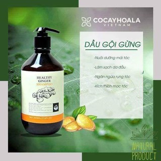 Dầu gội gừng Cỏ cây hoa lá