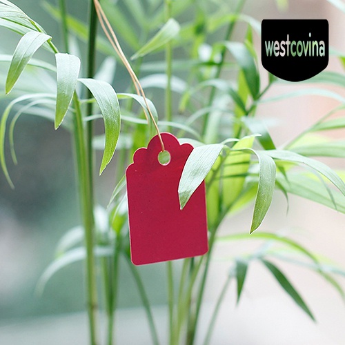 [Hot]☀ Bộ 100 Thẻ Đánh Dấu Cây Trồng Chống Thấm Nước Tiện Dụng