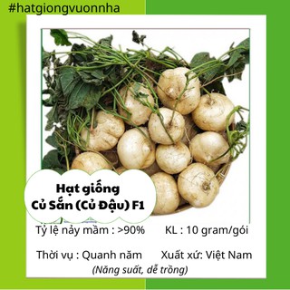 Hạt giống củ sắn rado - gói 10 gram