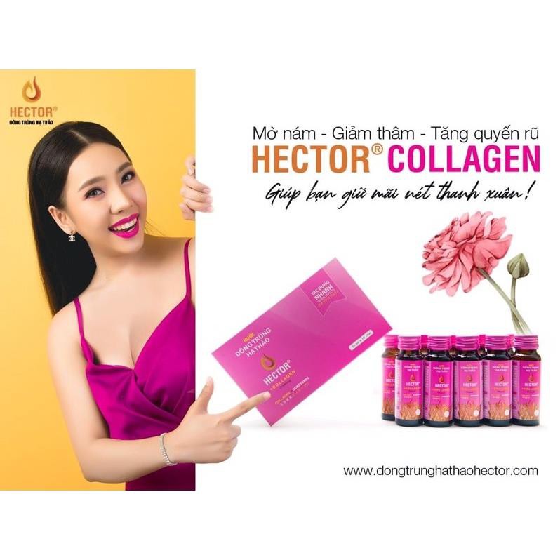 Hector collagen nước đông trùng hạ thảo