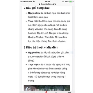 Chậu nhựa lá lốt