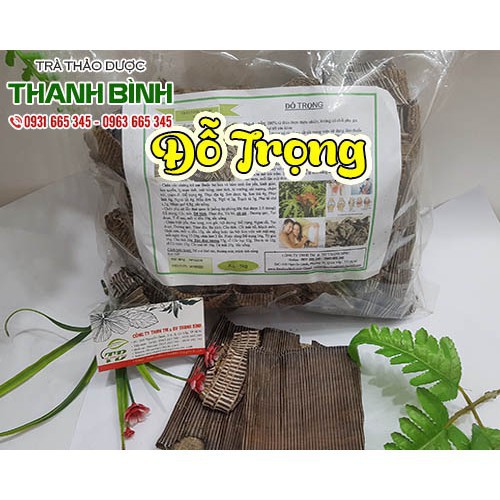 Đỗ Trọng 100gr Loại 1 Chất Lượng - Cây Thuốc Nam Thanh Bình