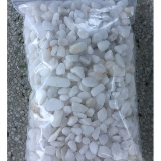 Sỏi Trắng Nhỏ (Size vừa như hình, 200g) Trang Trí Bể Cá, Chậu Cây Cảnh, Terrarium, Sen Đá, Xương Rồng