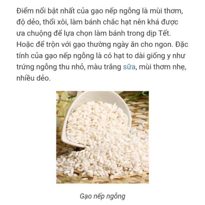 Hạt giống lúa nếp ngỗng năng suất cao túi 750g