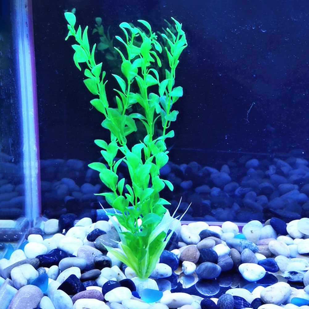 Cây Nhân Tạo Trang Trí Bể Cá Thiết Kế Độc Đáo