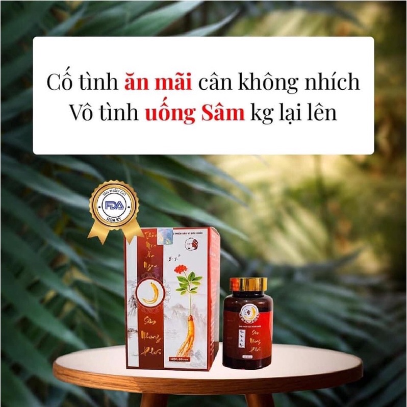 Tăng cân sâm Plus -Viên ăn ngon Sâm Nhung Plus -259k