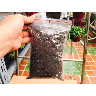 đất trồng sen đá 150g