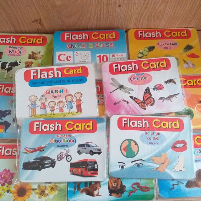 Bộ Thẻ Học Thông Minh 19 Chủ Đề Loại To - Flash Card Về Thế Giới Xung Quanh
