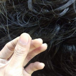 Lưới bẫy chim 30m3p ri