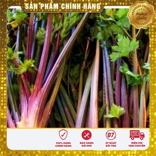 Hạt giống Cần Tây đỏ dinh dưỡng ( 2 Gram )
