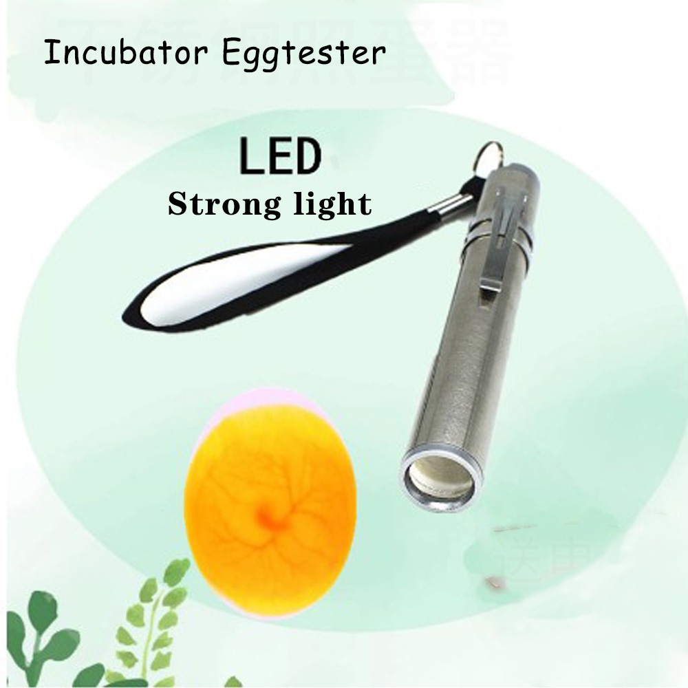 Đèn LED Ấp Trứng Mini Bằng Thép Không Gỉ Sử Dụng Pin